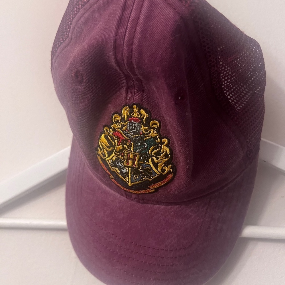 Harry Potter Warner Bros. Purple and Yellow Hat with Emblem